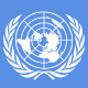 The United Nations System Image