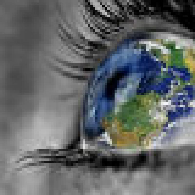Comparative Politics Image for Comparative Politics course