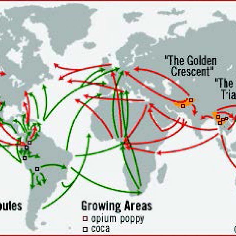 Illicit markets and organized crime Course photo