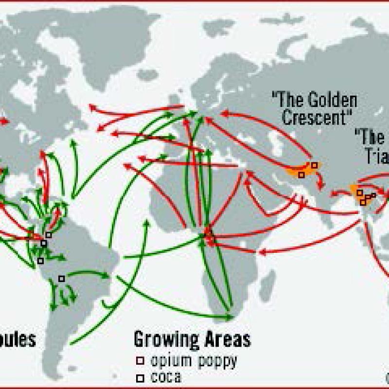 Illicit markets and organized crime Course photo